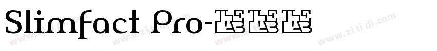 Slimfact Pro字体转换